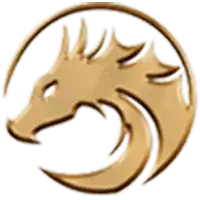 DRAGOONSOFT