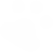 FAT PANDA